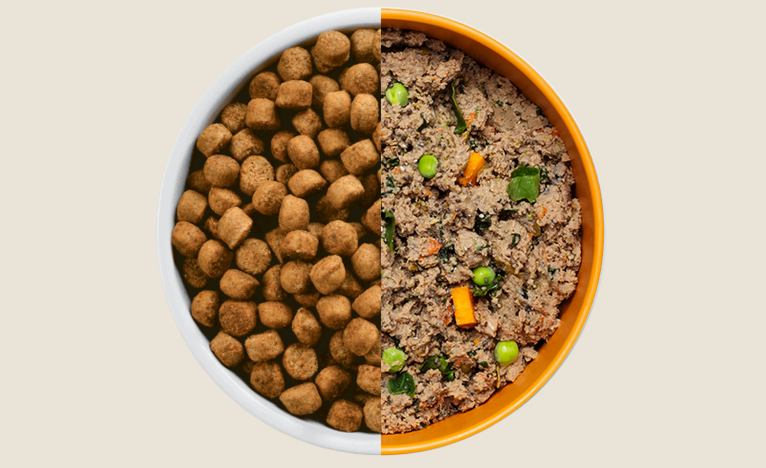I Swapped My Dog's Kibble With Ollie's AllNatural Fresh Meals, and I'm